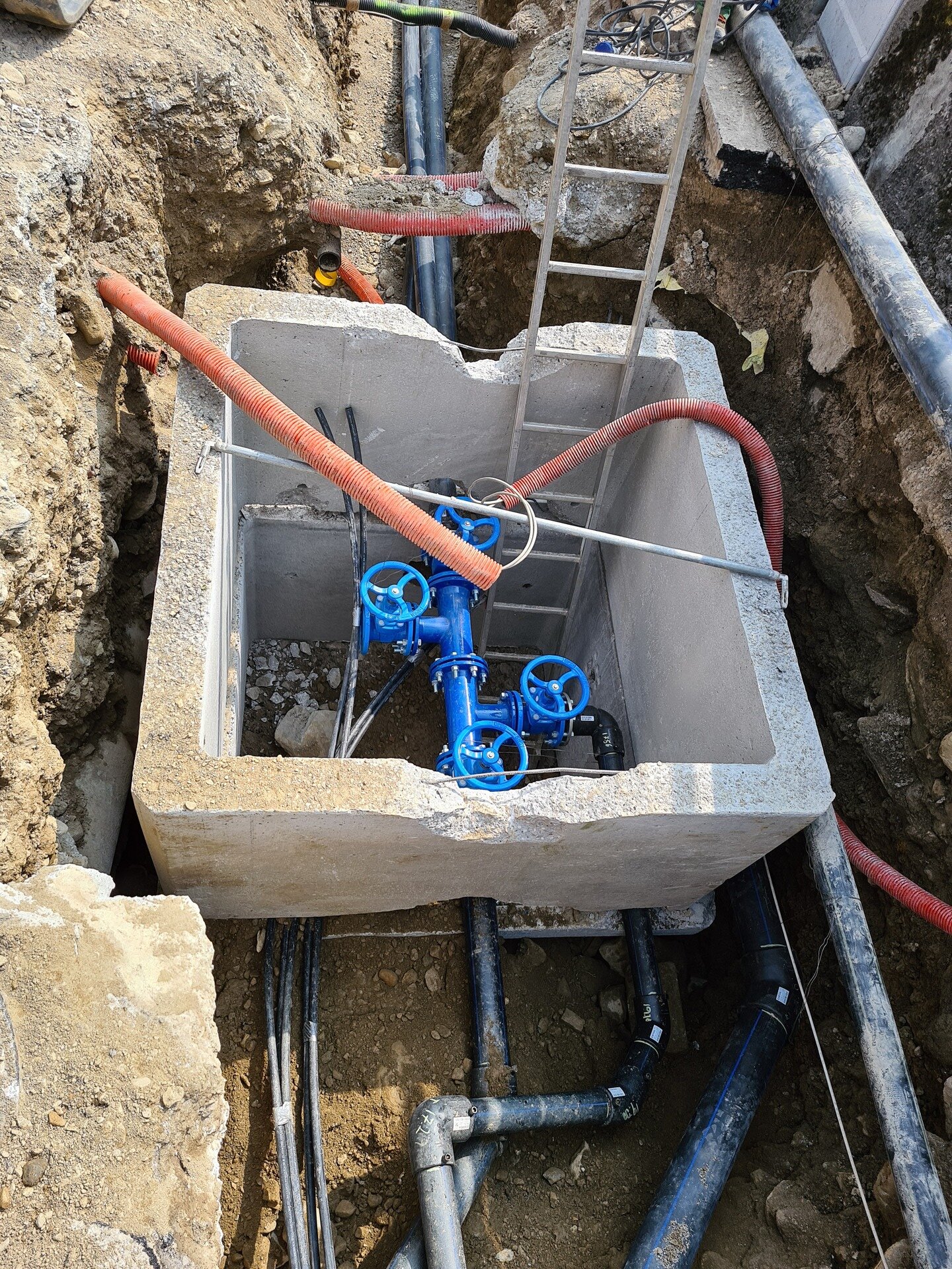 20220406 134941 Copia